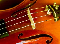violin-in-detail-2-1418385