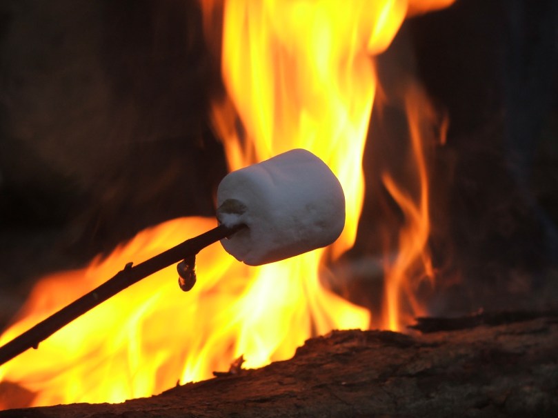 roasting-marshmallows-2-1223439