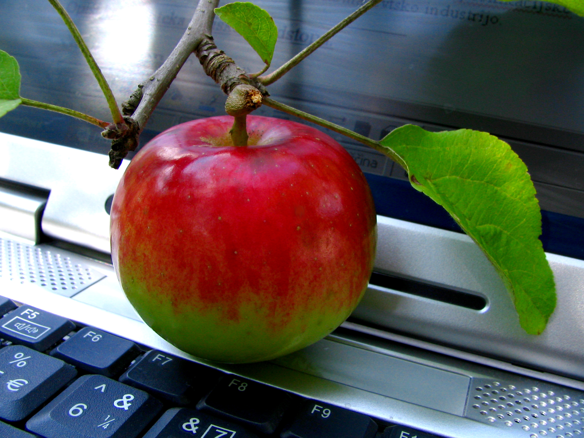 computer-and-apple-1241514 Ales Cerin