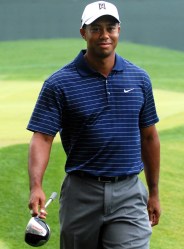 tiger-woods-79694_1920_ David Mark
