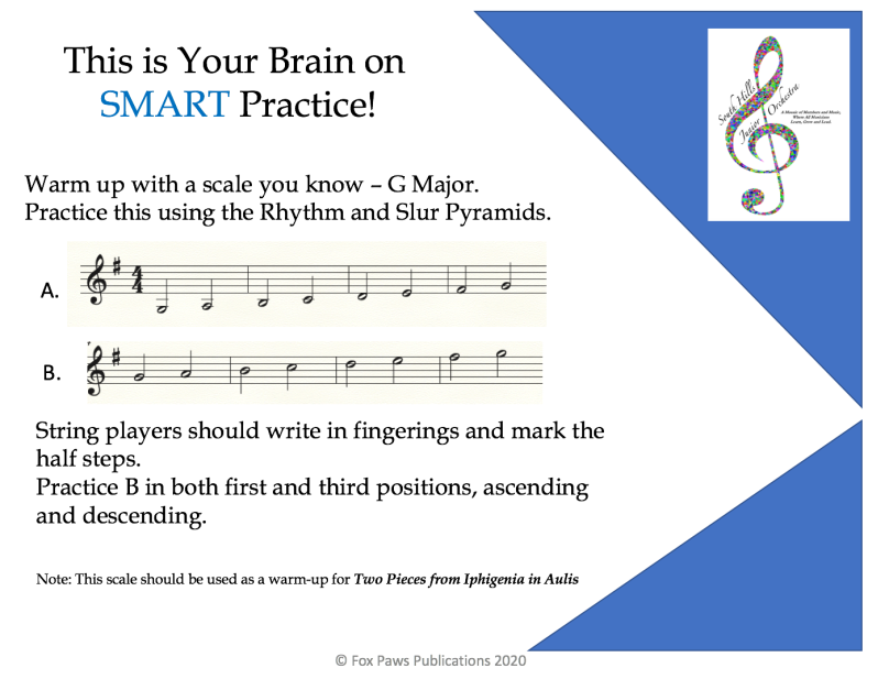 This is your brain on SMART Practice
